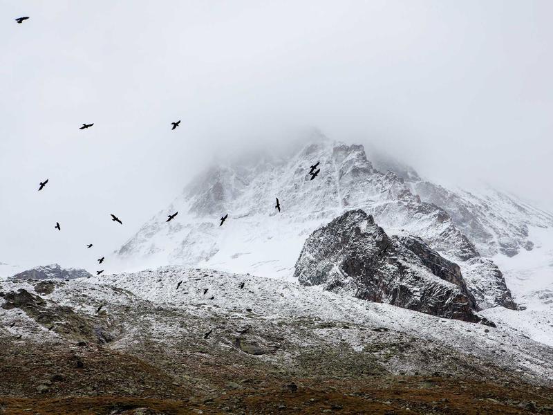 sudoku strategy guide